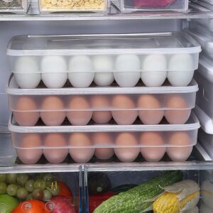 34 Eggs Tray Holder with Lid