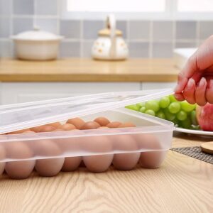 34 Eggs Tray Holder with Lid