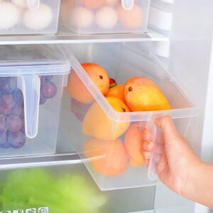 Kitchen Rack Shelf Storage Containers Refrigerator Freezer and Fridge Container Boxes