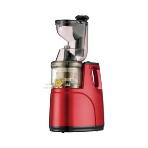 Rebune Slow Juicer RE-2-080